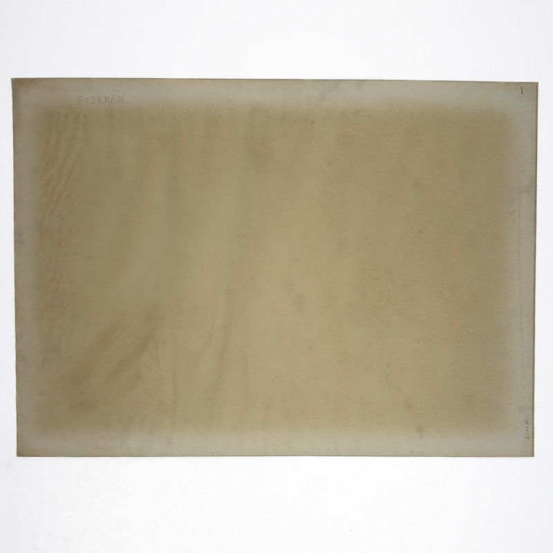 Robert Beauchamp - Fish Man