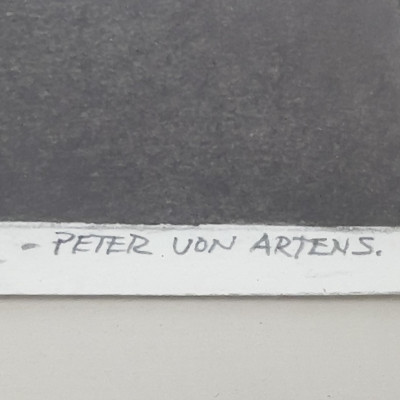 Peter Von Artens - Untitled (Peeled Citrus)