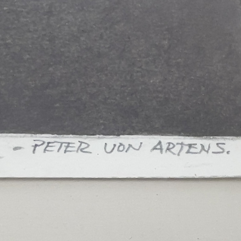 Peter Von Artens - Untitled (Peeled Citrus)