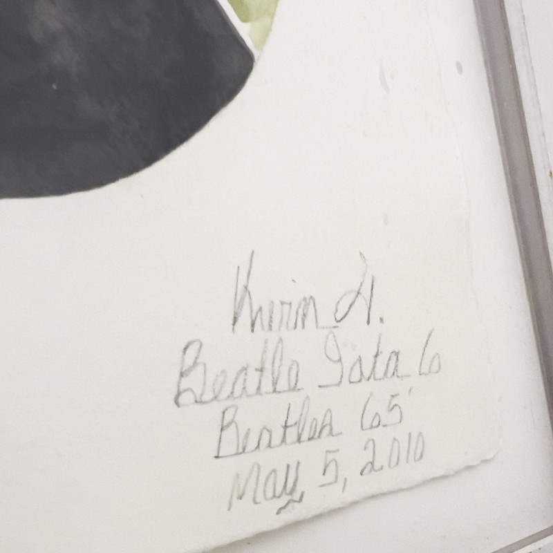 Kevin Teare - Beatle Iota 6