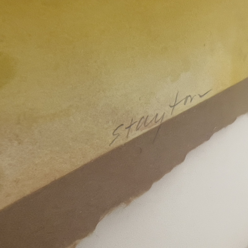 Janet Stayton - 3 Brushes