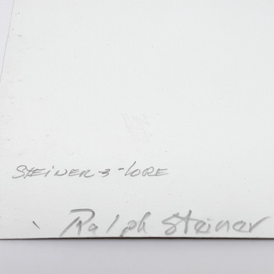 Ralph Steiner - American Rural Baroque