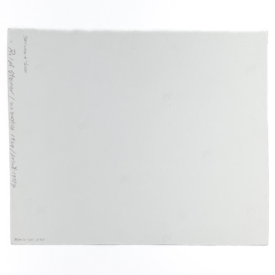 Ralph Steiner - American Rural Baroque