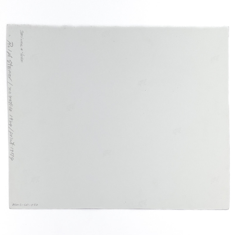 Ralph Steiner - American Rural Baroque