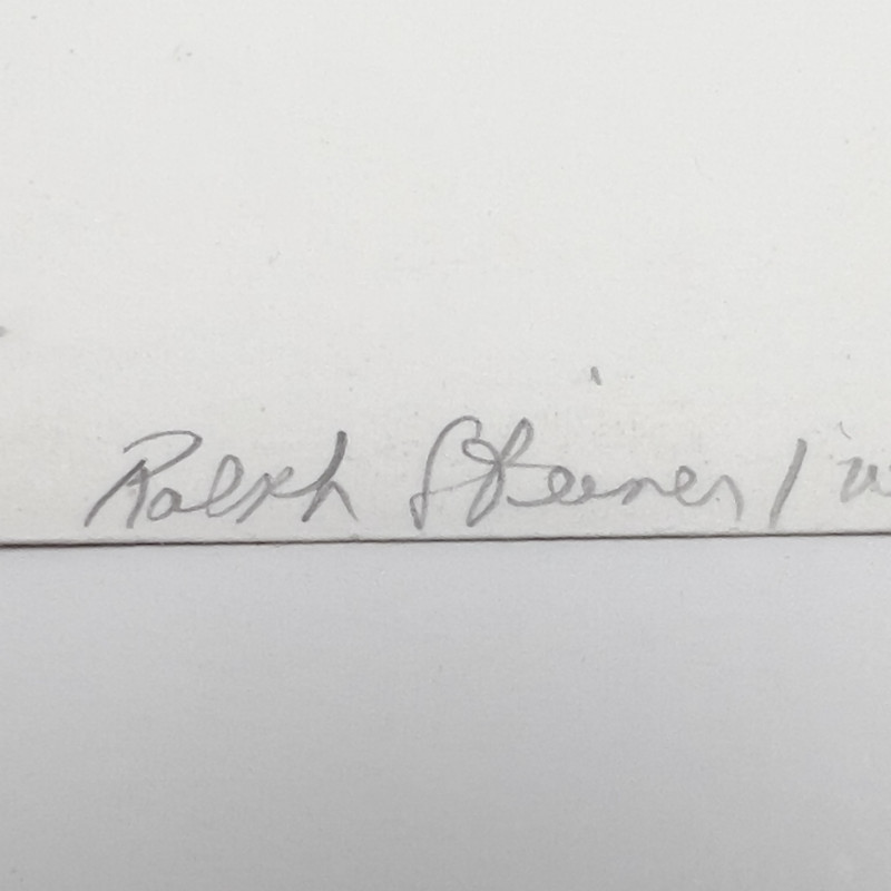 Ralph Steiner - Nehi Sign