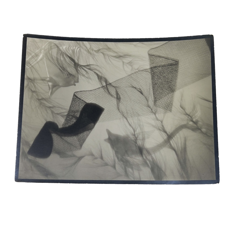 Ralph Steiner - Untitled (Fish and Stocking)