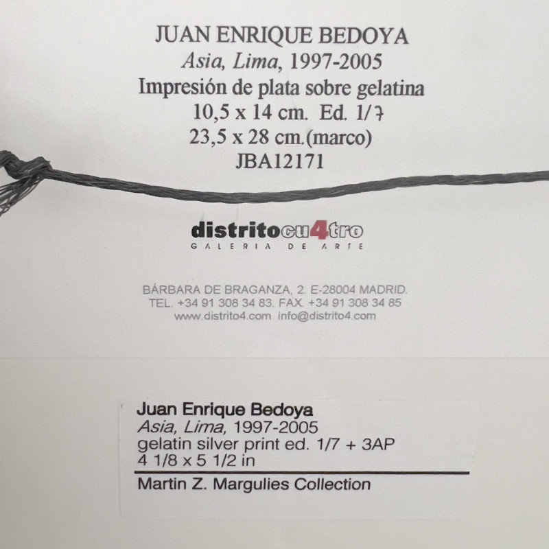 Juan Enrique Bedoya - Asia, Lima