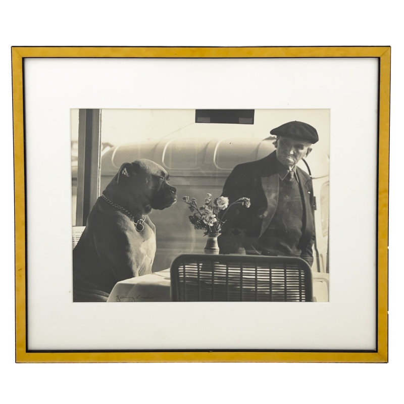 Jerry Cooke - Untitled (Dog in Café)