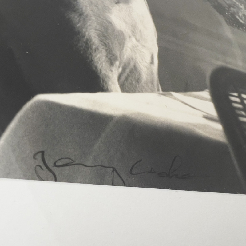 Jerry Cooke - Untitled (Dog in Café)