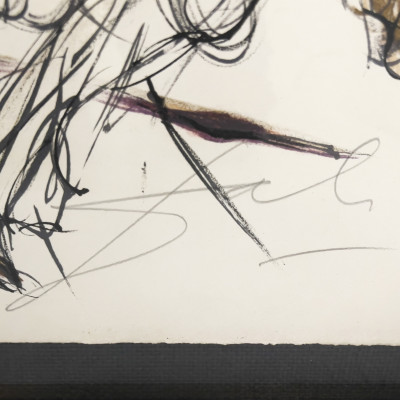 Salvador Dali - The Crazy Horse