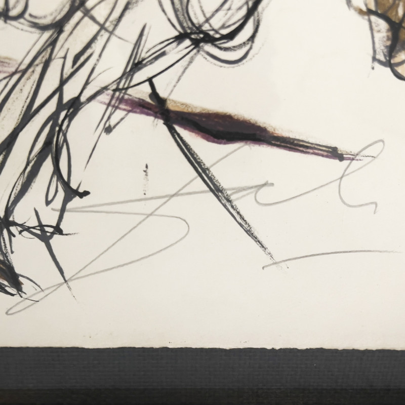 Salvador Dali - The Crazy Horse