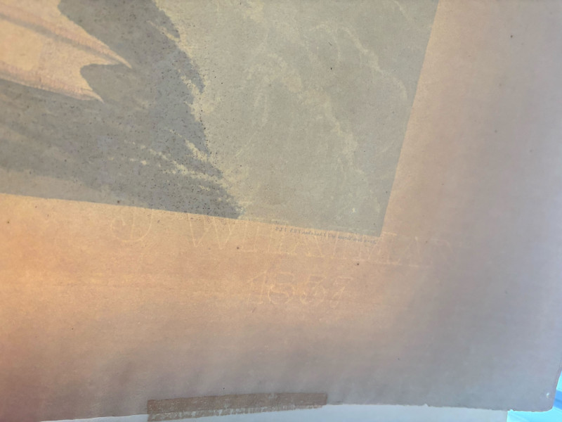 John James Audubon - Dusky Albatros