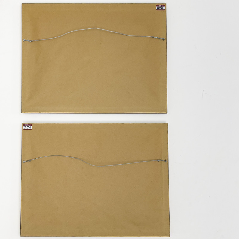 David Roberts - View on the Nile and Dandarah