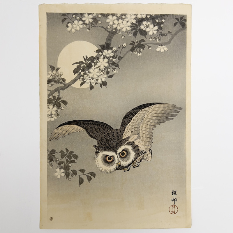 Ohara Koson - Scops Owl in Flight with Cherry Blossoms