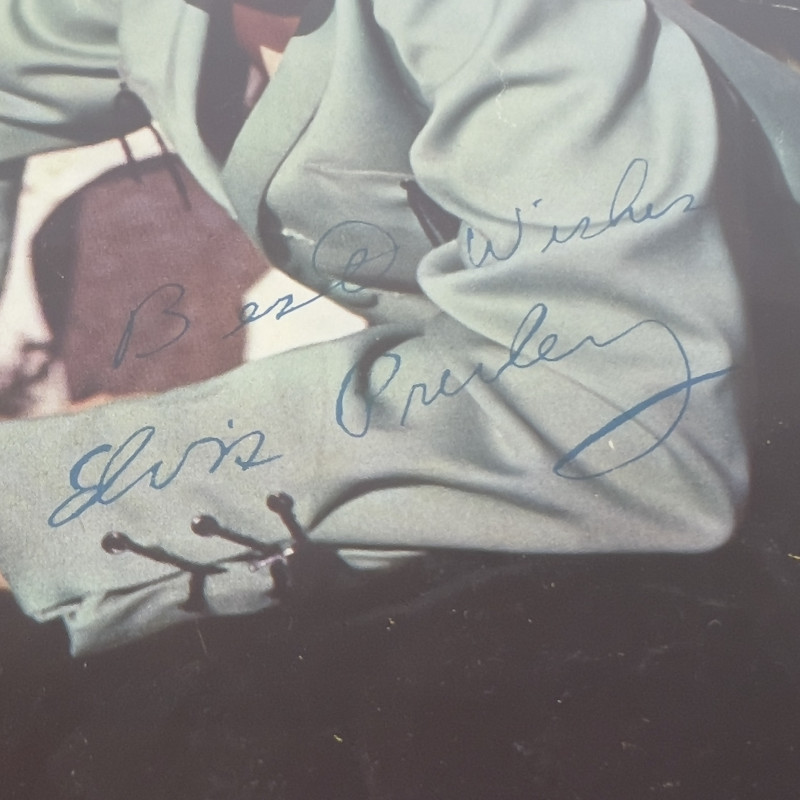 Large Hollywood Celebrity Photo Collection, 250+