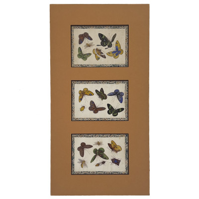 Image for Lot Three Chinese Pith Paper Paintings of Butterflies