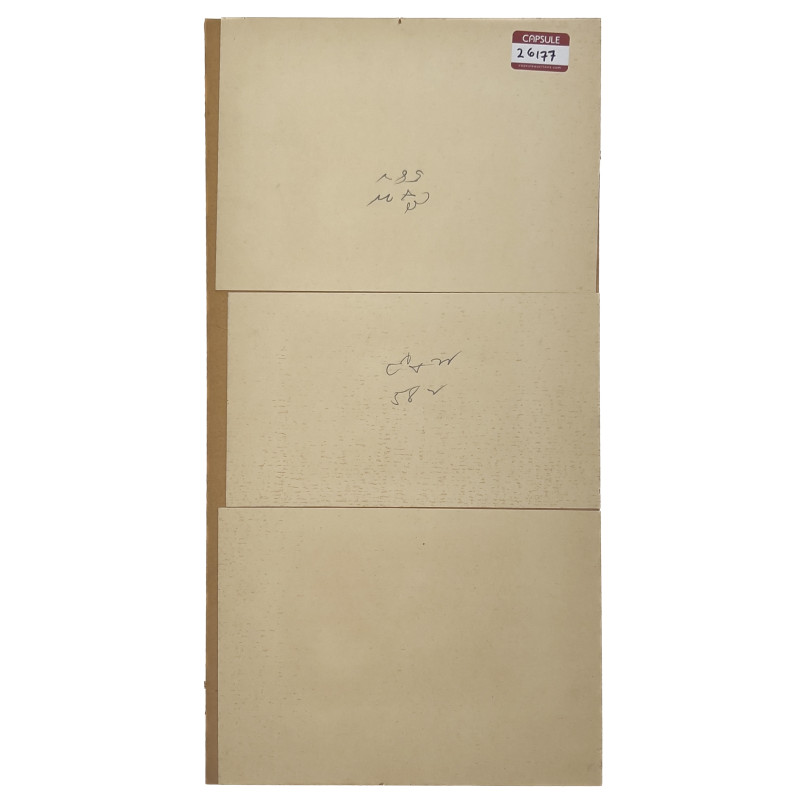 Three Chinese Pith Paper Paintings of Butterflies