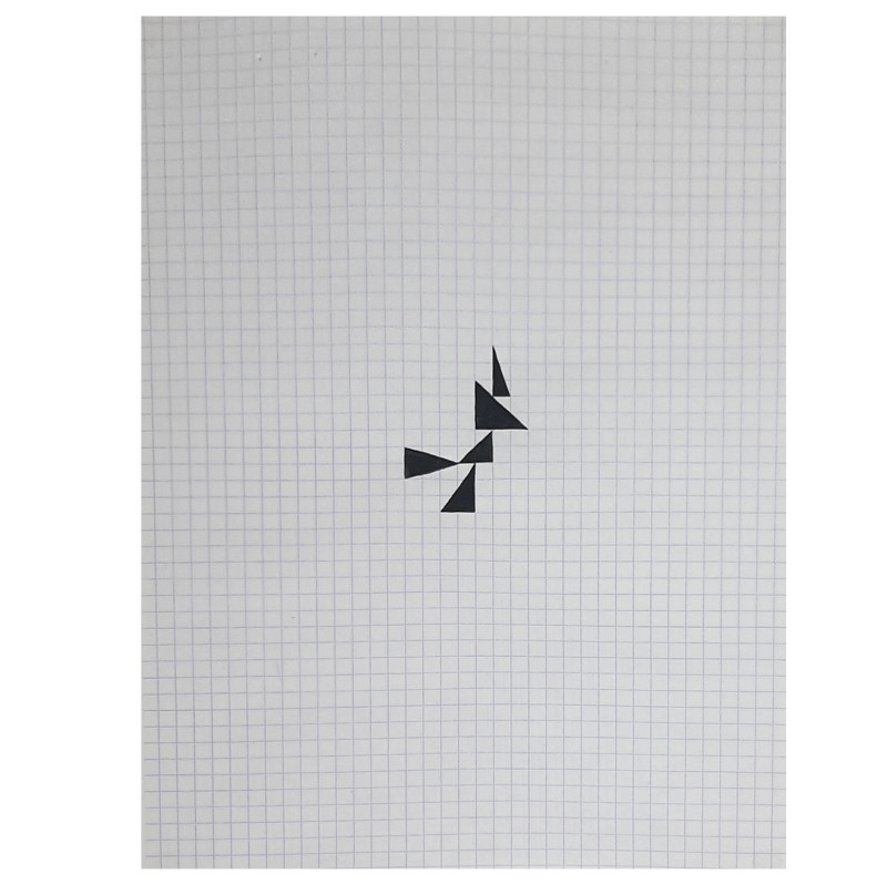 Daniel Steegman Mangrané - Untitled