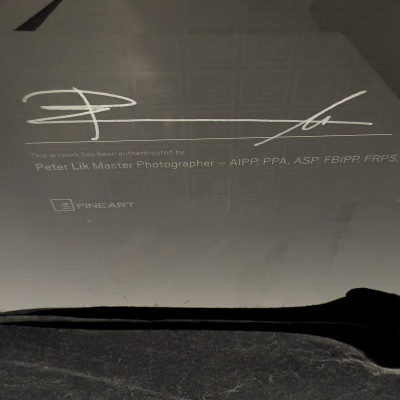 Peter Lik - The Boss