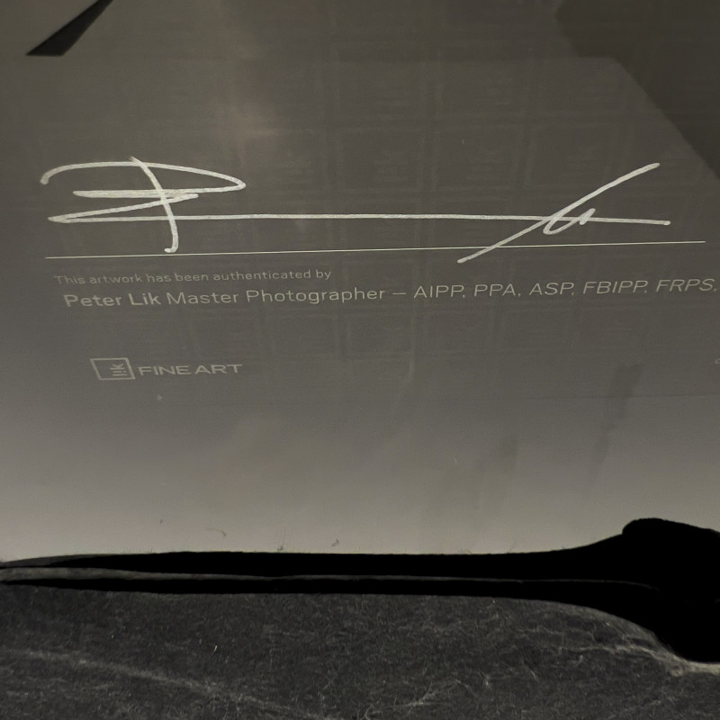 Peter Lik - The Boss