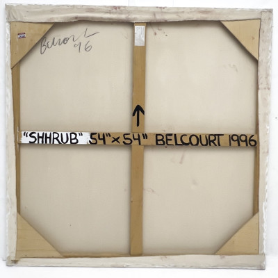 Louise Belcourt - Shrub
