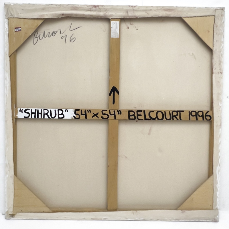 Louise Belcourt - Shrub