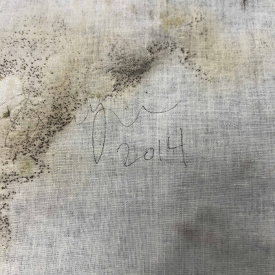 Isabel Yellin - Untitled