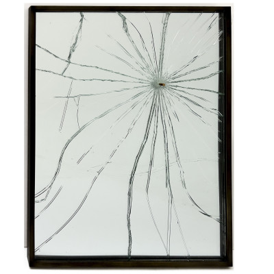 Image for Lot Pryce Lee - Dispatched by Trainee