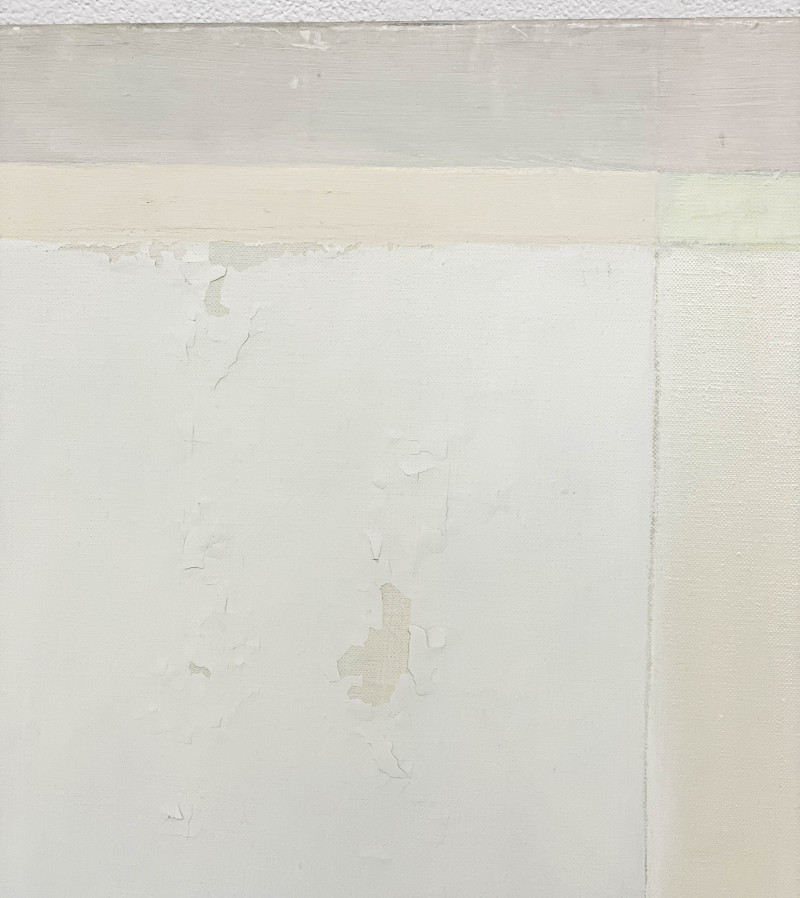 Michael Loew - Suspended Verticals