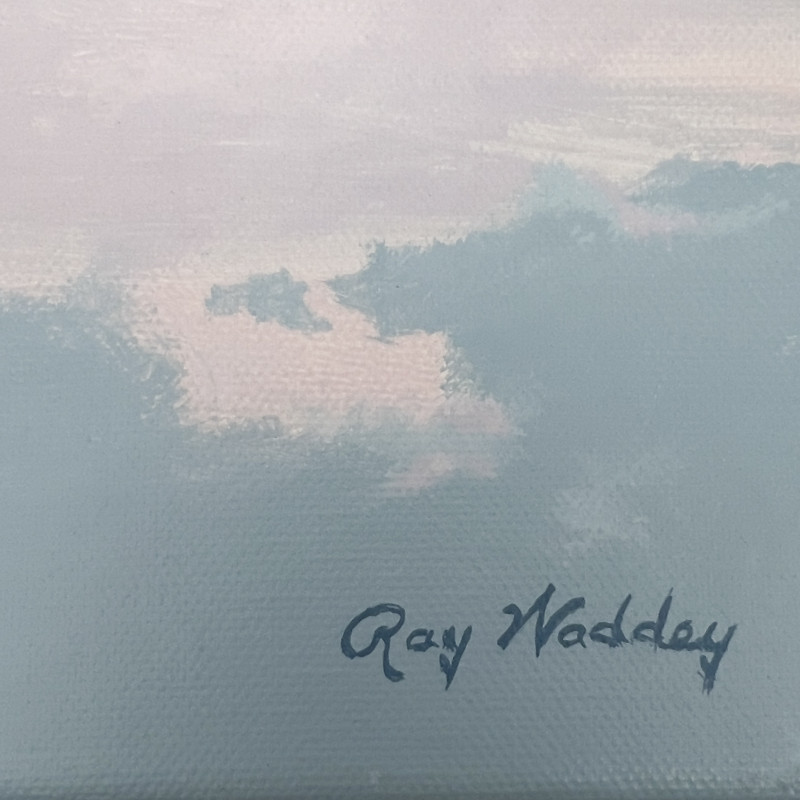 Ray Waddey - Hansa-Brandenburg W-12, 1918