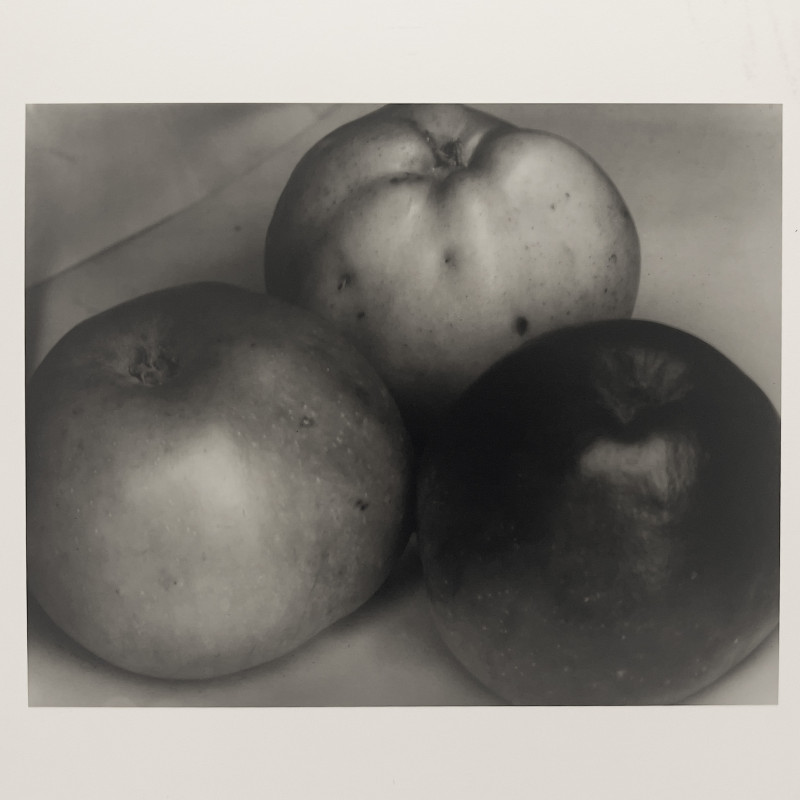 Edward Steichen - Three Apples, France