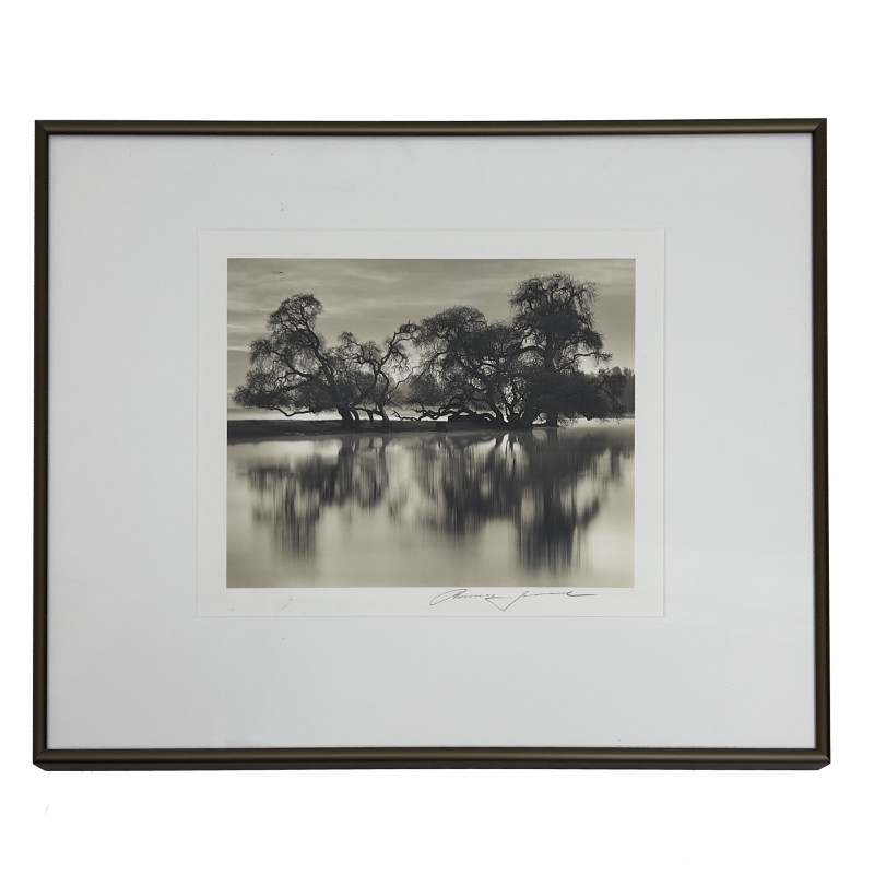 Roman loranc - Roman Loranc, Bare Trees by River
