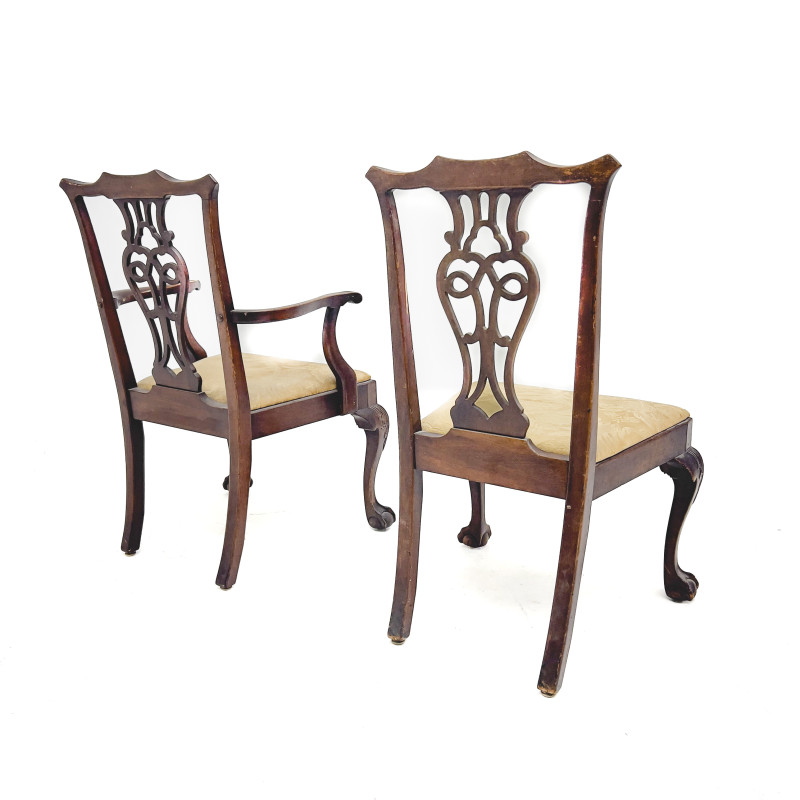 6 Chippendale Style Dining Chairs