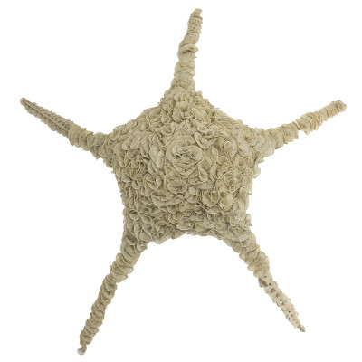 Image for Lot Ayala Serfaty - Starfish