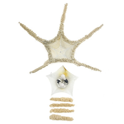 Ayala Serfaty - Starfish