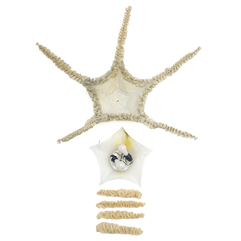 Ayala Serfaty - Starfish