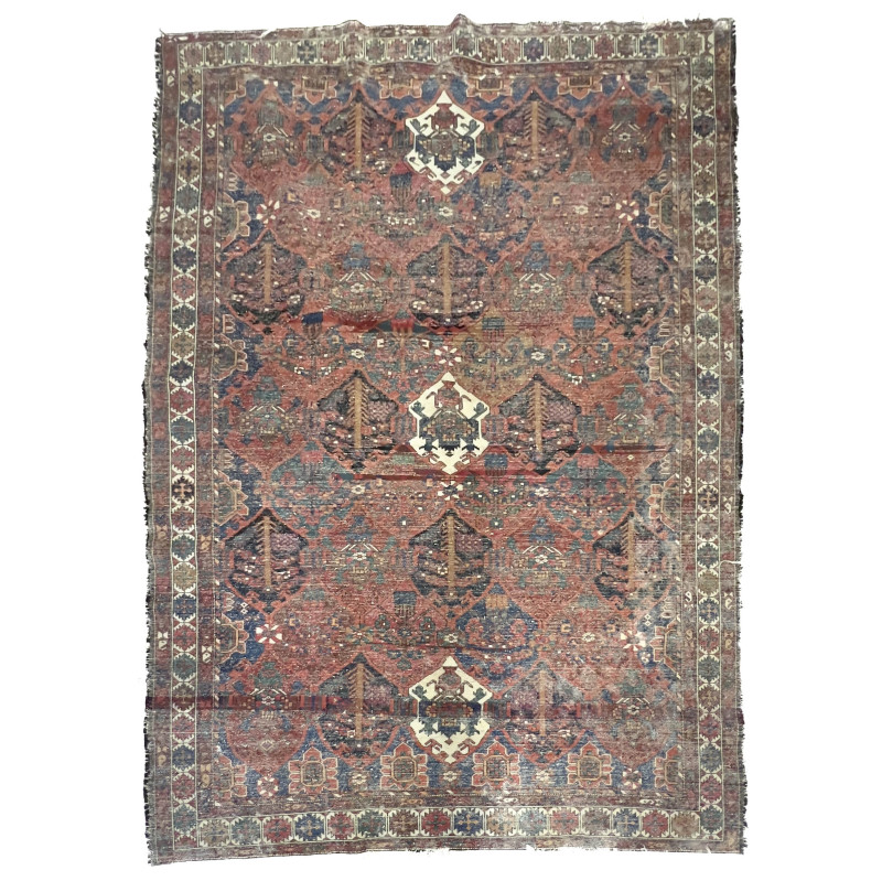 Persian Bakhtiari Area Rug
