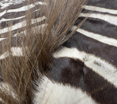 Zebra Hide Felt-Backed Rug