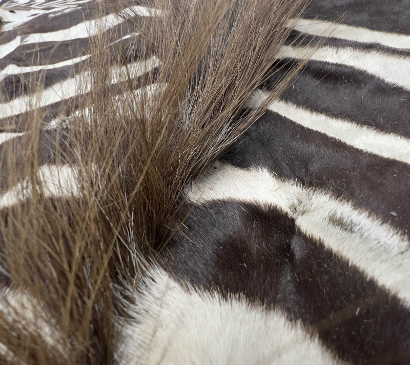 Zebra Hide Felt-Backed Rug