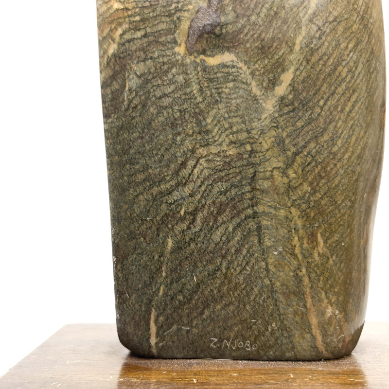Zachariah Njobo - Sentinel Guardian