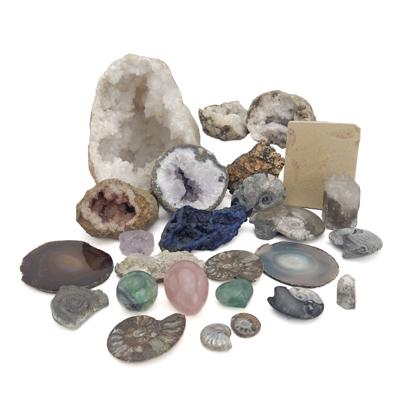 A Collection of Natural Geodes, Minerals, and Fossilized Ammonite Specimens