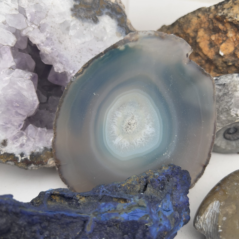 A Collection of Natural Geodes, Minerals, and Fossilized Ammonite Specimens