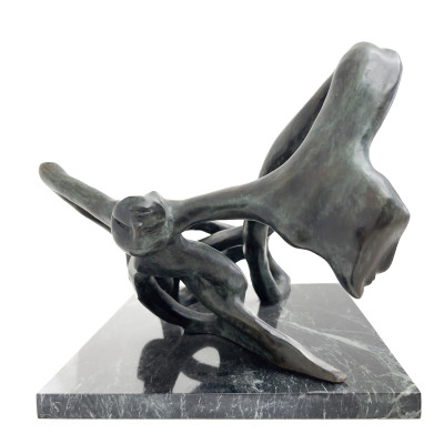 Unknown Artist - Abstract Intertwined Forms