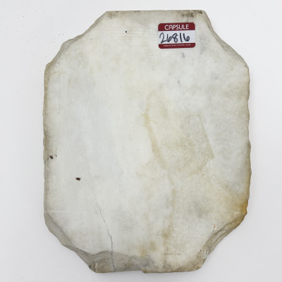 Neoclassical Bather Plaque