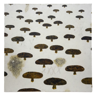 Image for Lot Franco Aceves Humana - Instalación de Piedras Sobre Bancos, Grupos de Balones y Preservativos
