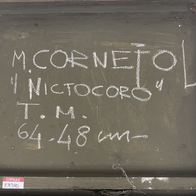 Mariano Cornejo - Nictocoro