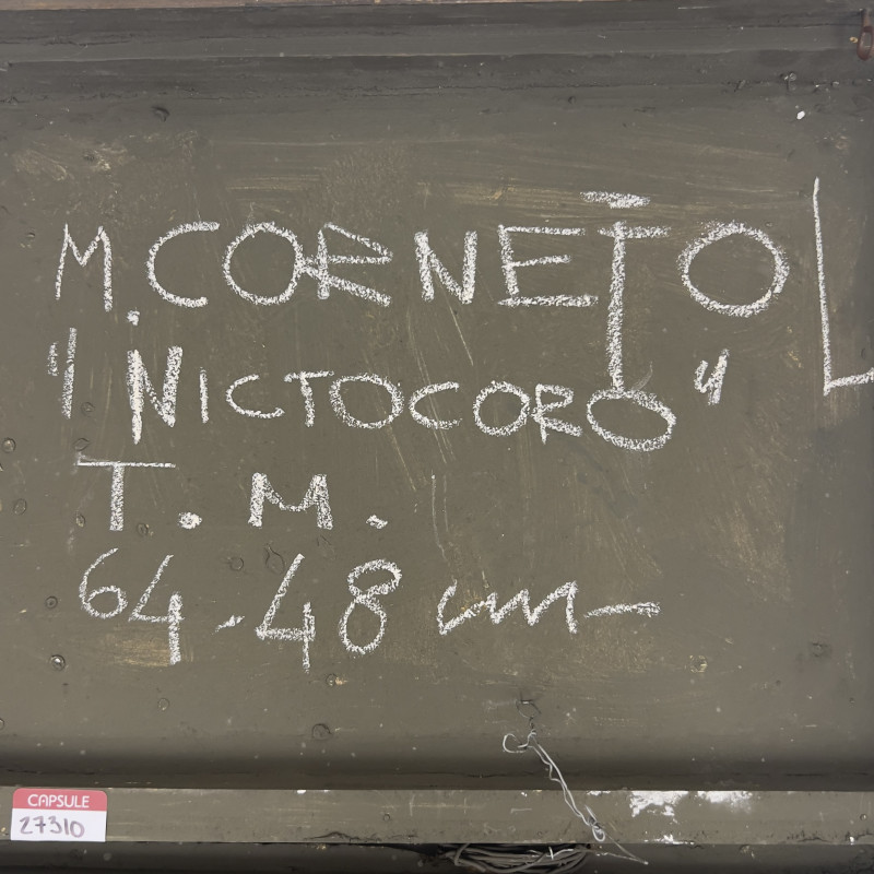 Mariano Cornejo - Nictocoro