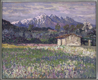 Miguel Barbero - Primavera en Fredos