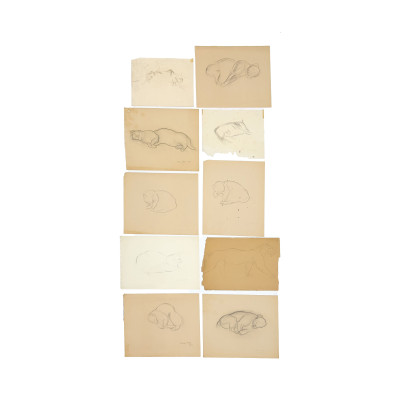 Image for Lot Rhys Caparn - Eleven Sketches (9 Cats and 2 Dogs)