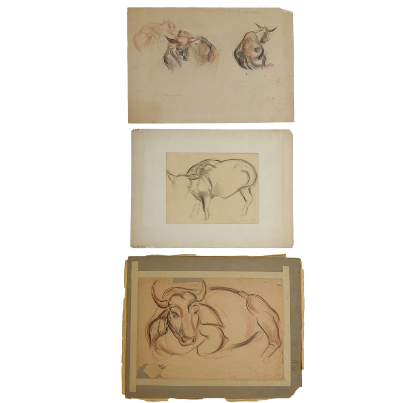 Rhys Caparn - Three Sketches of Cows